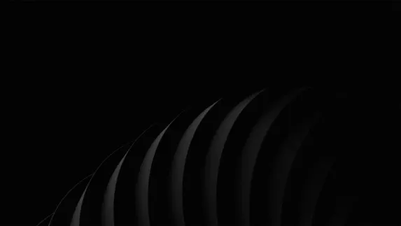 Starda Casino Ënnerstëtzung